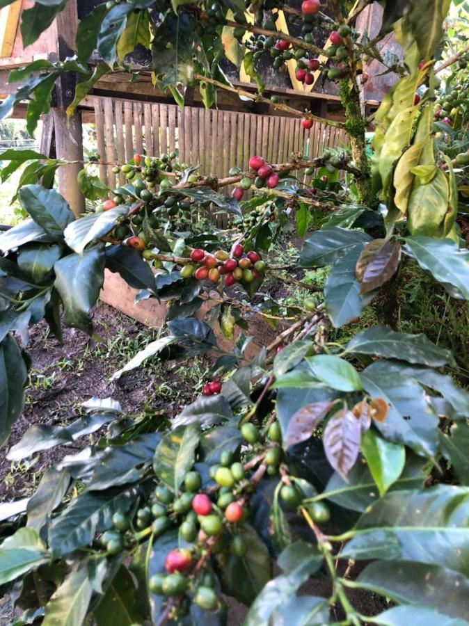 Alojamiento Rural Jardin Consentido Bagian luar foto