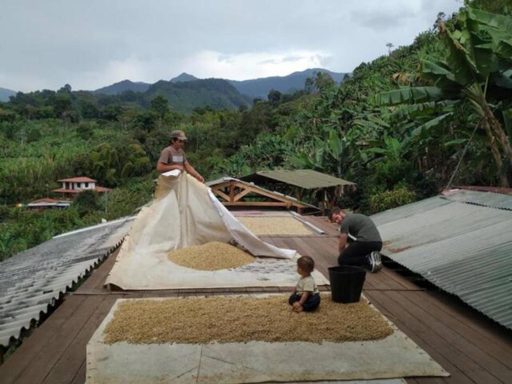 Alojamiento Rural Jardin Consentido Bagian luar foto