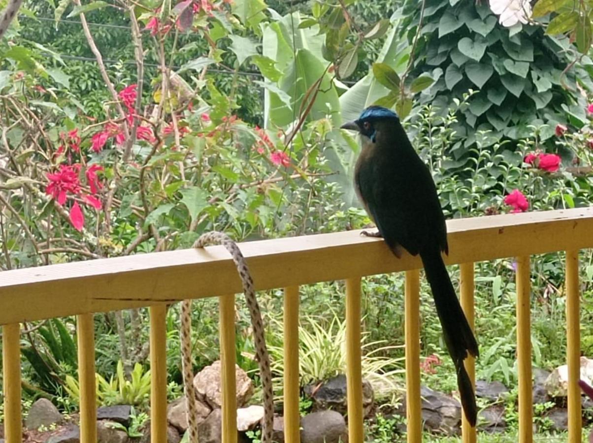 Alojamiento Rural Jardin Consentido Bagian luar foto