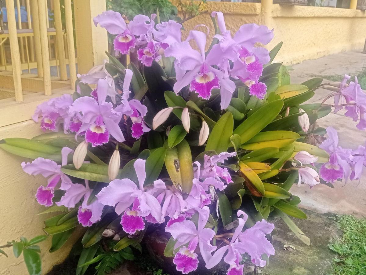 Alojamiento Rural Jardin Consentido Bagian luar foto