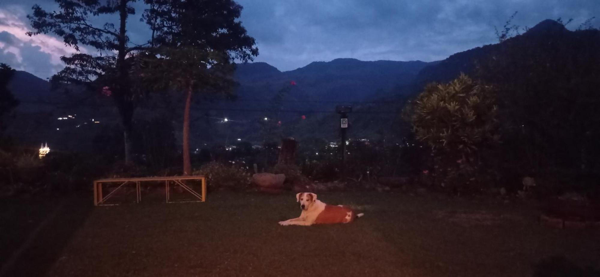 Alojamiento Rural Jardin Consentido Bagian luar foto