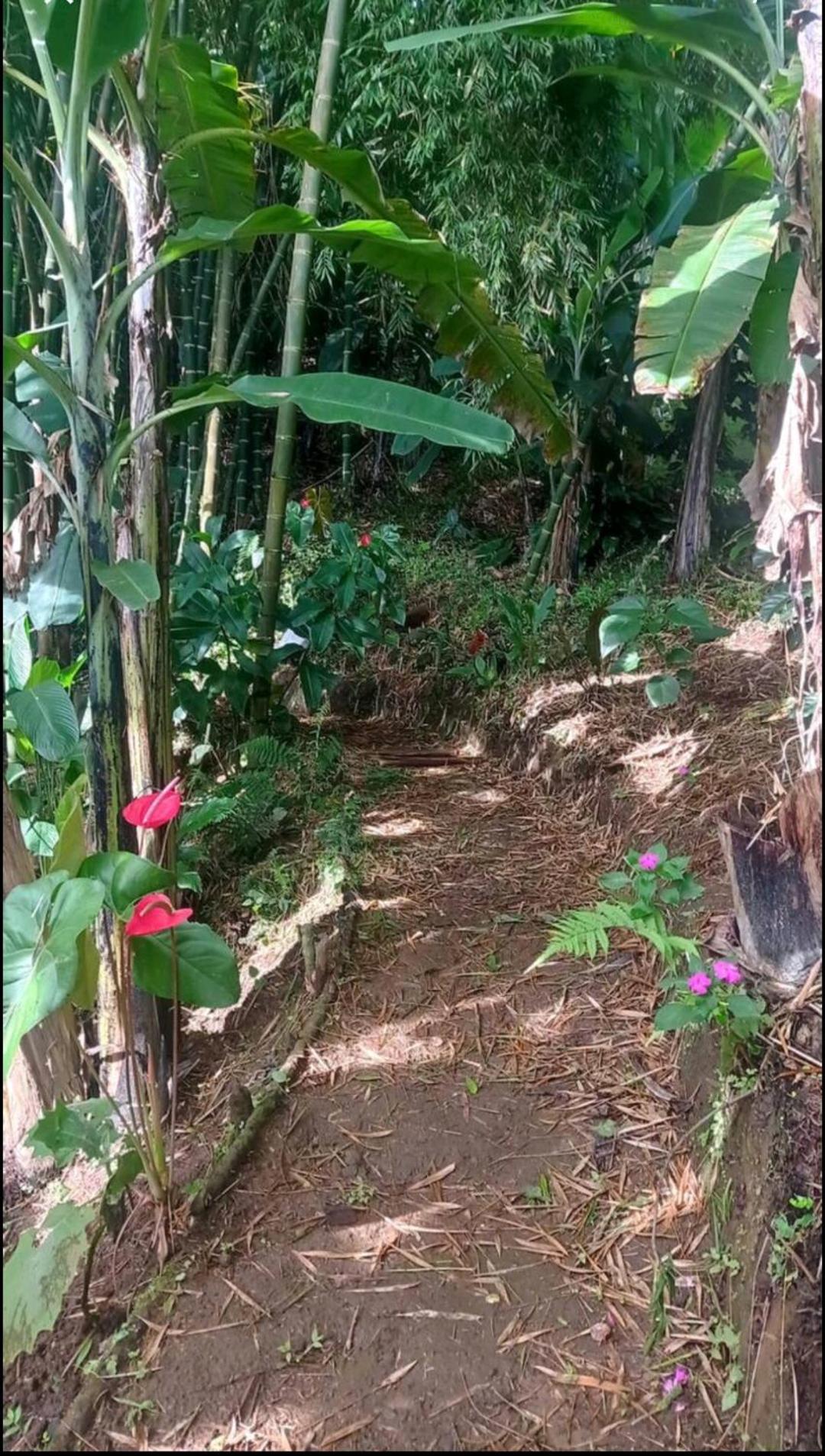 Alojamiento Rural Jardin Consentido Bagian luar foto
