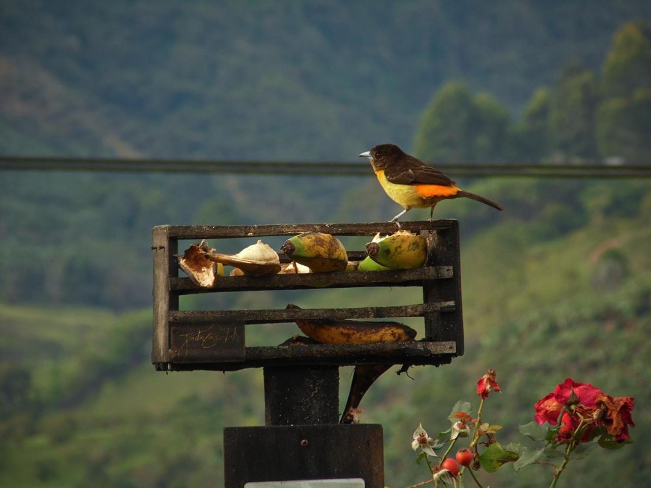 Alojamiento Rural Jardin Consentido Bagian luar foto