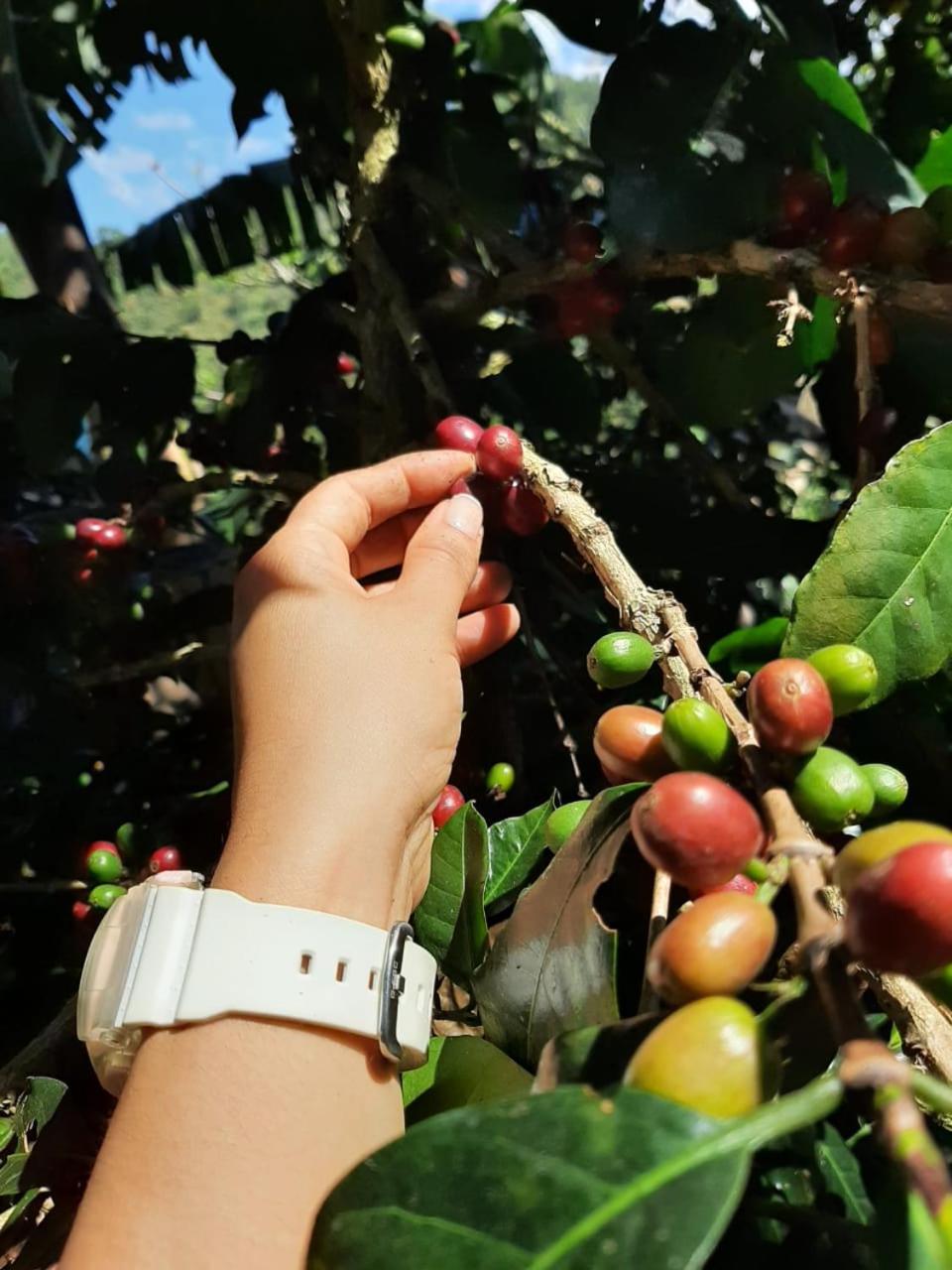 Alojamiento Rural Jardin Consentido Bagian luar foto