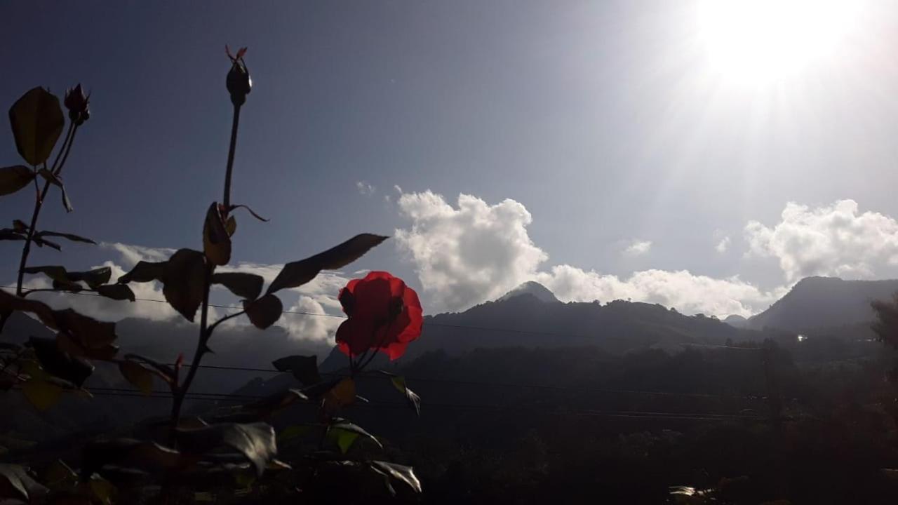 Alojamiento Rural Jardin Consentido Bagian luar foto