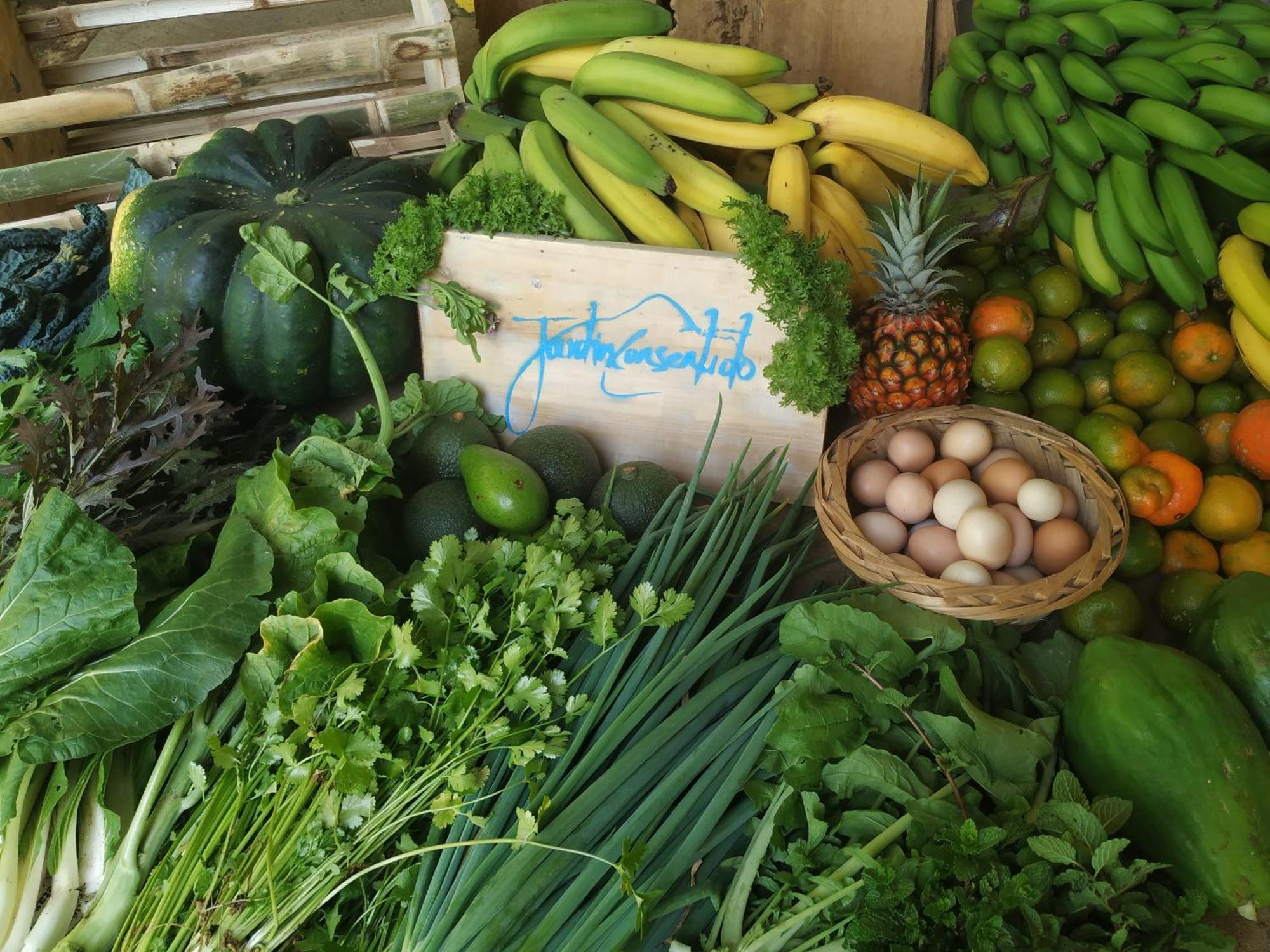 Alojamiento Rural Jardin Consentido Bagian luar foto