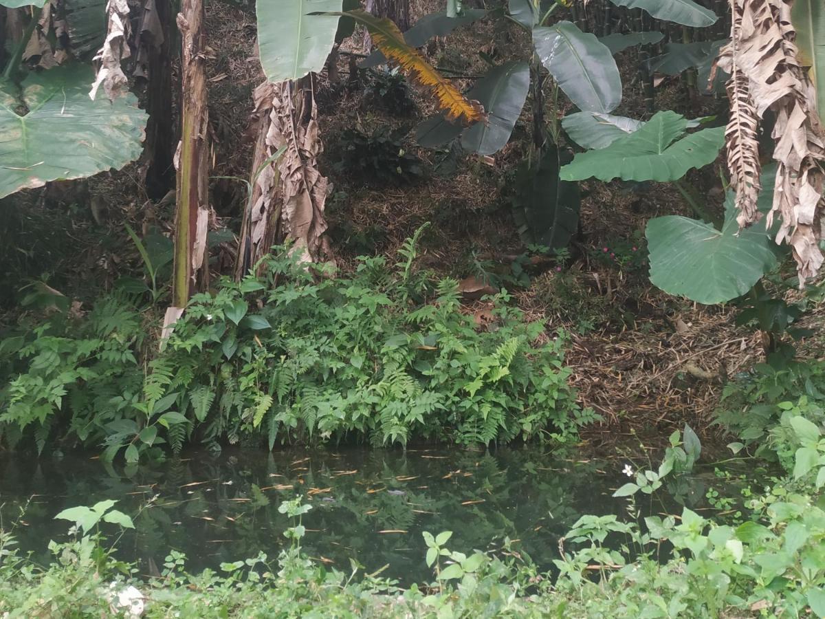 Alojamiento Rural Jardin Consentido Bagian luar foto